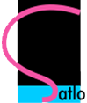 Satlo Industries (Pvt) Ltd logo